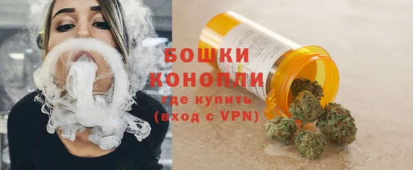 гидра Абаза