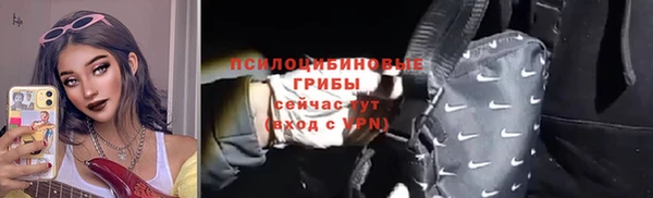 гидра Абаза
