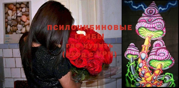 гидра Абаза