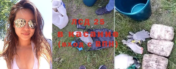 индика Нязепетровск