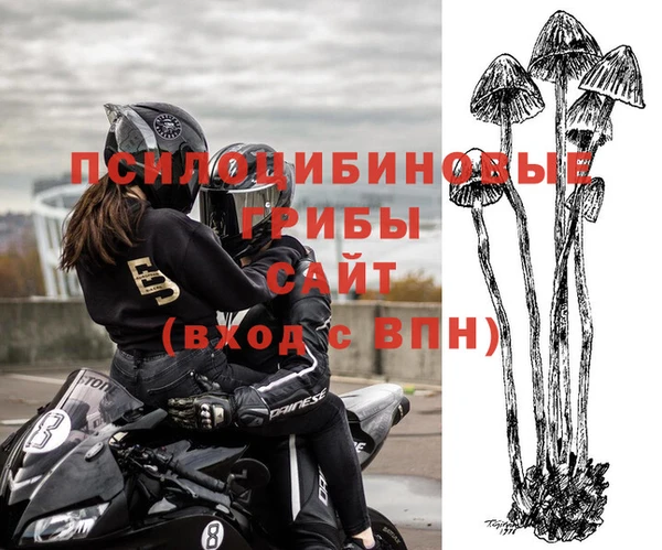 индика Нязепетровск