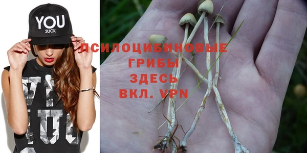 индика Нязепетровск